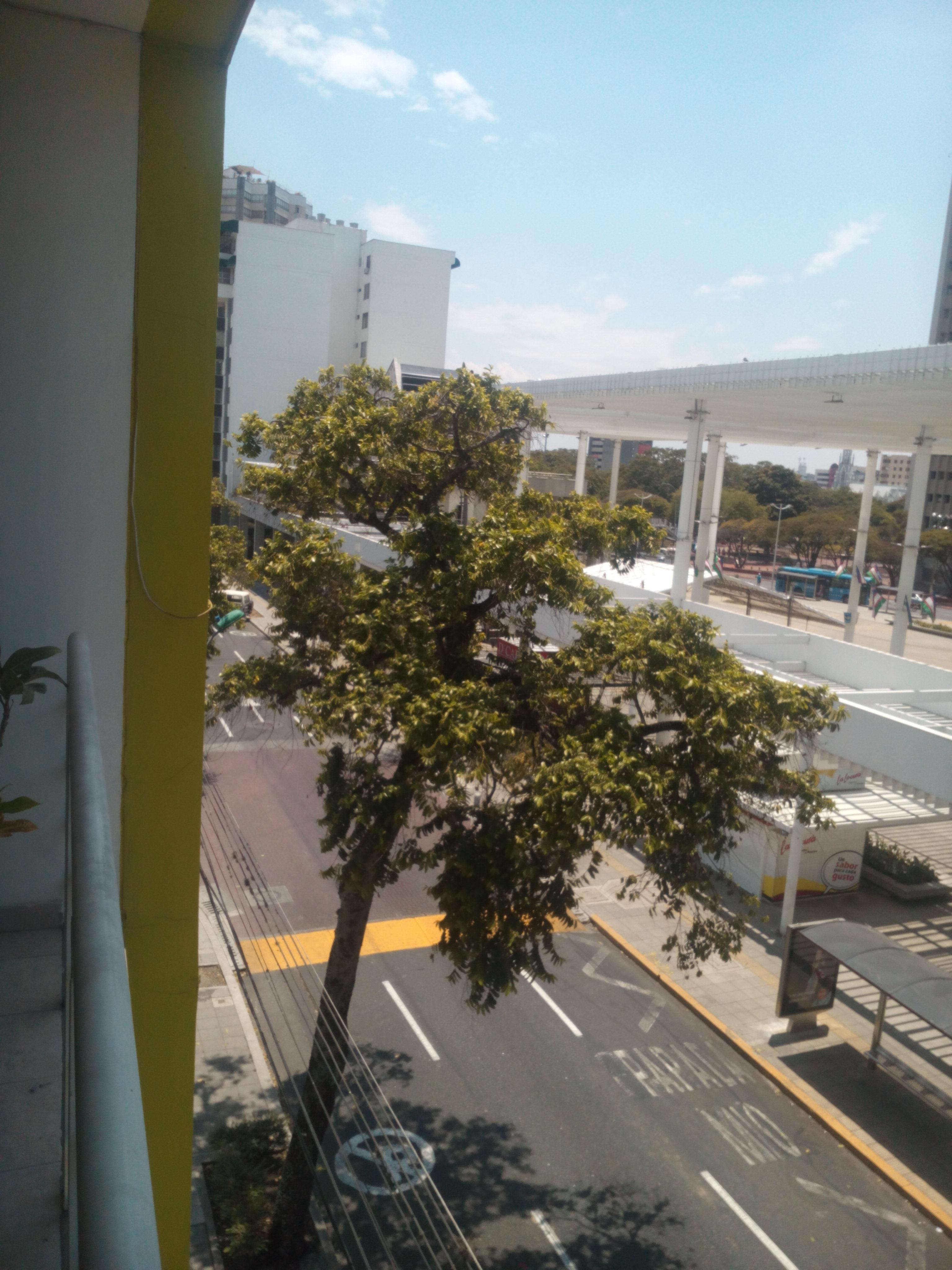Hotel Cuarta Avenida 칼리 외부 사진